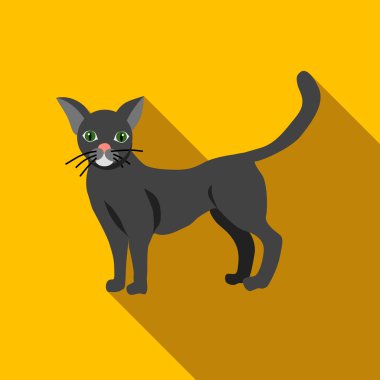 Cadılar Bayramı kara kedi simgesi, düz stil