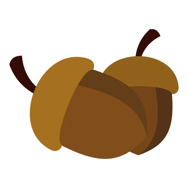 Twee acorn pictogram, vlakke stijl — Stockvector
