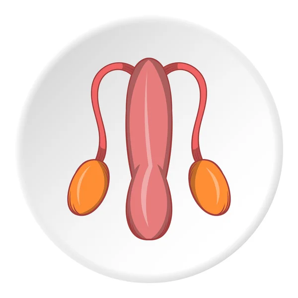 Icône d'organe sexuel masculin, style dessin animé — Image vectorielle