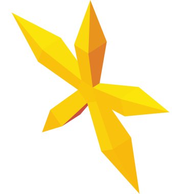 Beş puan simgesi, izometrik 3d tarzı yıldız