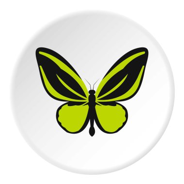 Yeşil kelebek kutsal kişilerin resmi, düz stil