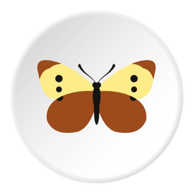 Renkli kelebek kutsal kişilerin resmi, düz stil