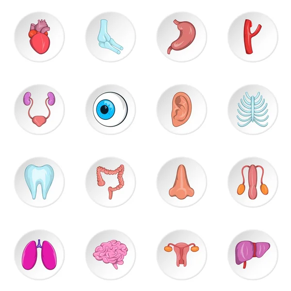 Human organ icons, cartoon style — Stock Vector