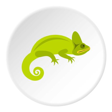 Bukalemun simgesi, düz stil