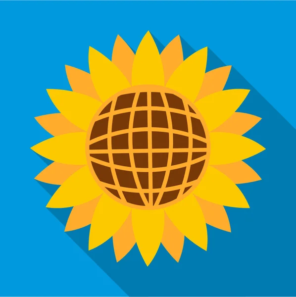Slunečnicová ikona, plochý — Stockový vektor