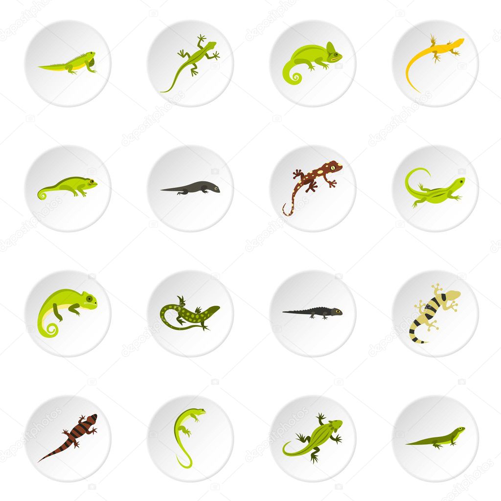 Amphibian icons set, flat style