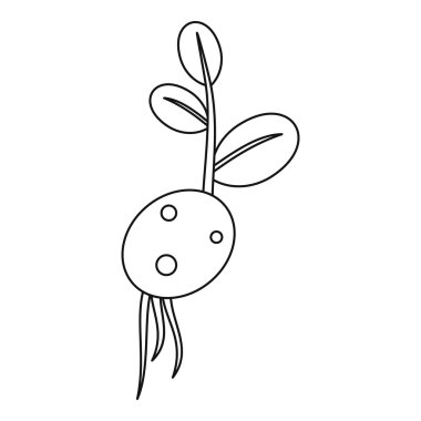 Patates tohumu simgesi, anahat stili