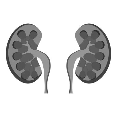 İnsan böbrekler simge, gri tek renkli stil