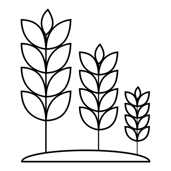 Weizenkeim-Symbol, Umrissstil — Stockvektor