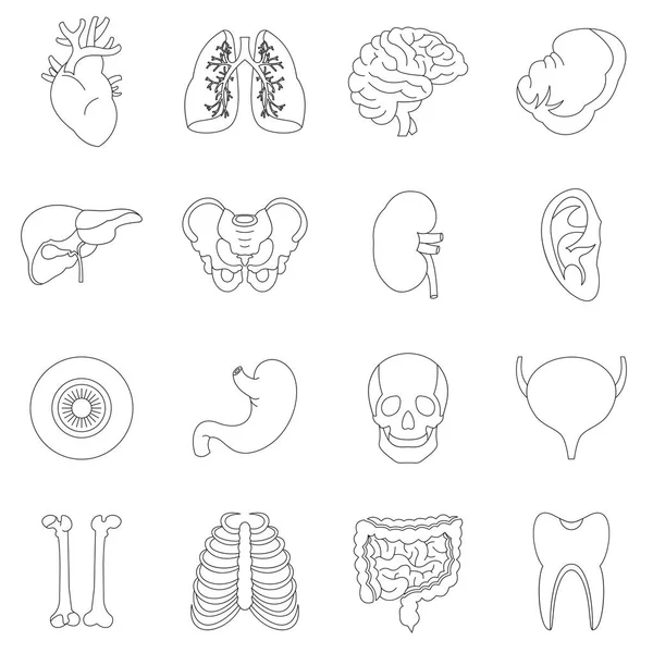 Lidské orgány ikony set, styl osnovy — Stockový vektor