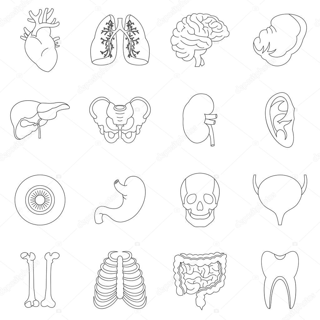 Human organs icons set, outline style