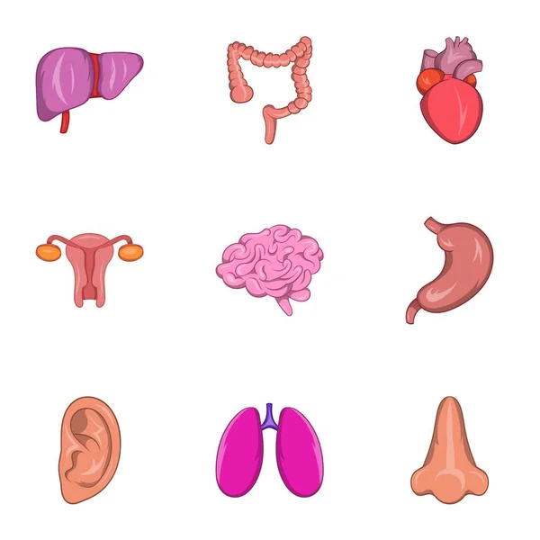 Set di icone di organi umani, stile cartone animato — Vettoriale Stock