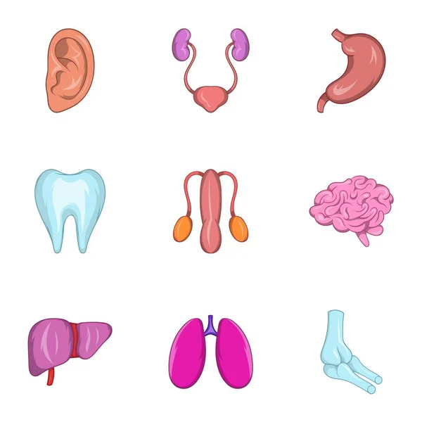 Set di icone per organi interni, stile cartone animato — Vettoriale Stock