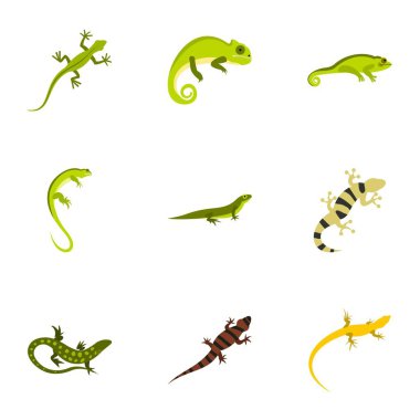 Varan Icons set, düz stil