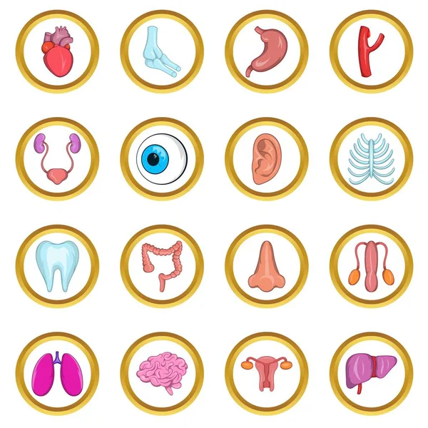 Conjunto de iconos órganos internos — Vector de stock