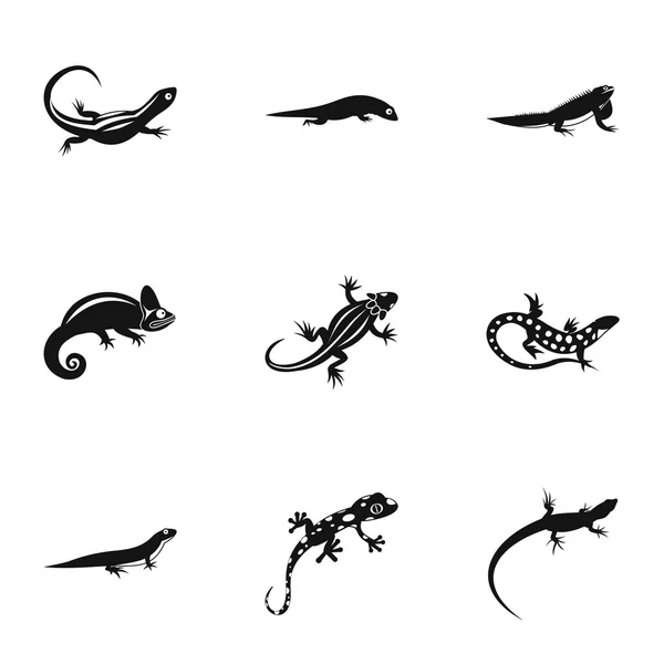 Tipos de ícones de iguana conjunto, estilo simples —  Vetores de Stock