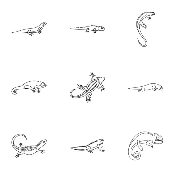 Conjunto de iconos de lagarto, estilo de contorno — Archivo Imágenes Vectoriales