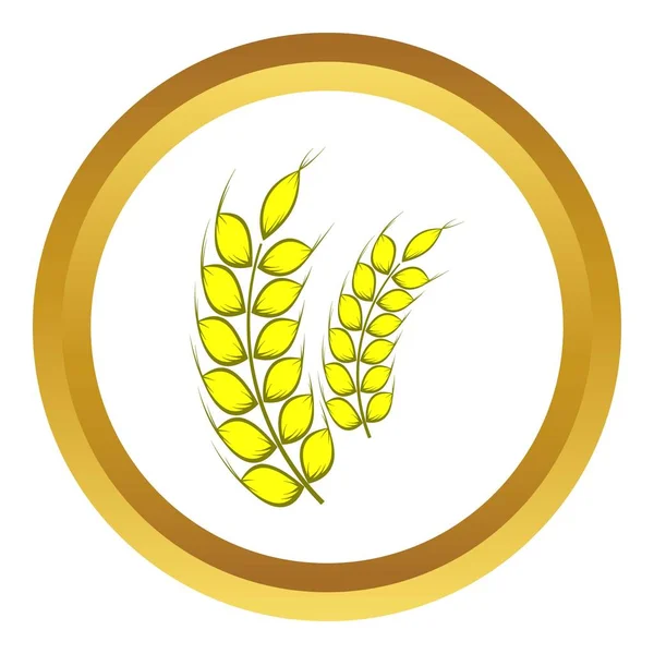 Two stalks of ripe barley vector icon — Stock Vector