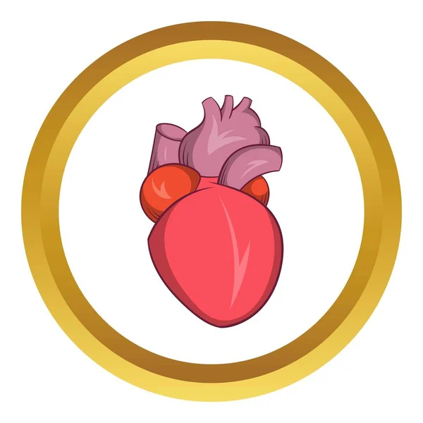 Heart human vector icon — Stock Vector