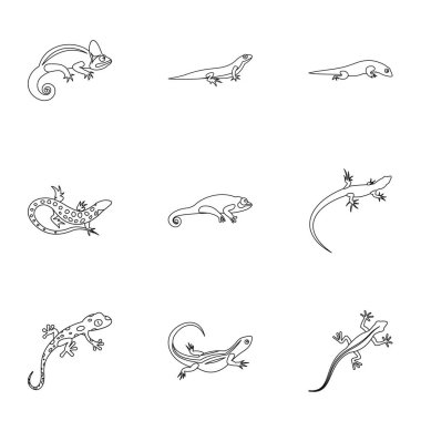 İguana Icons set, anahat stili