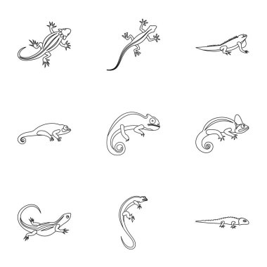 İguana Icons set, anahat stili türleri
