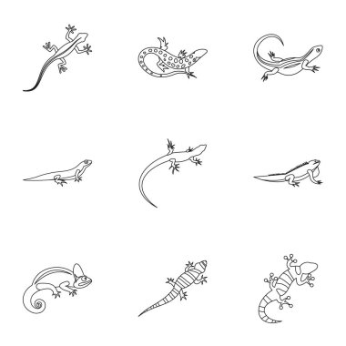 Varan Icons set, anahat stili