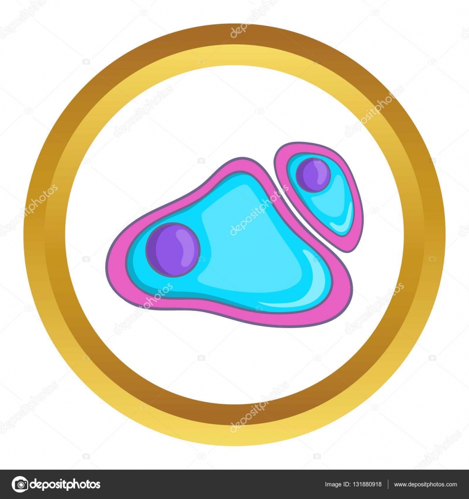 Cell nucleus vector icon — Stock Vector © ylivdesign #131880918