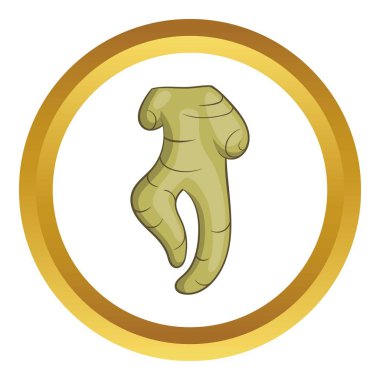Ginseng kök vektör simgesi