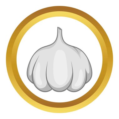 Sarımsak ampul vektör simgesi