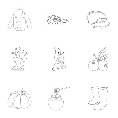 Düşen yaprakları Icons set, anahat stili sezon