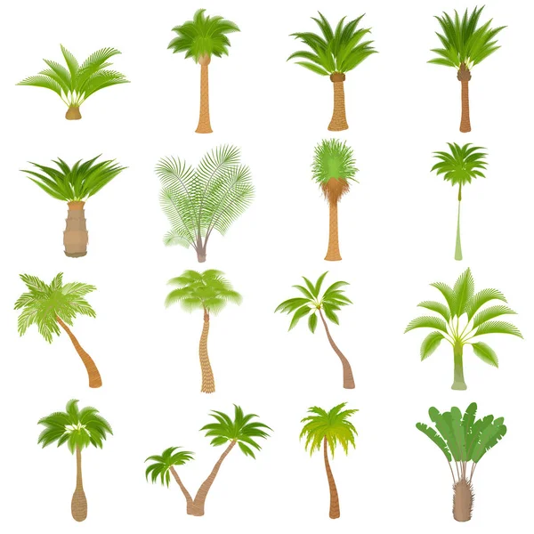 Différentes icônes de palmiers ensemble, style dessin animé — Image vectorielle