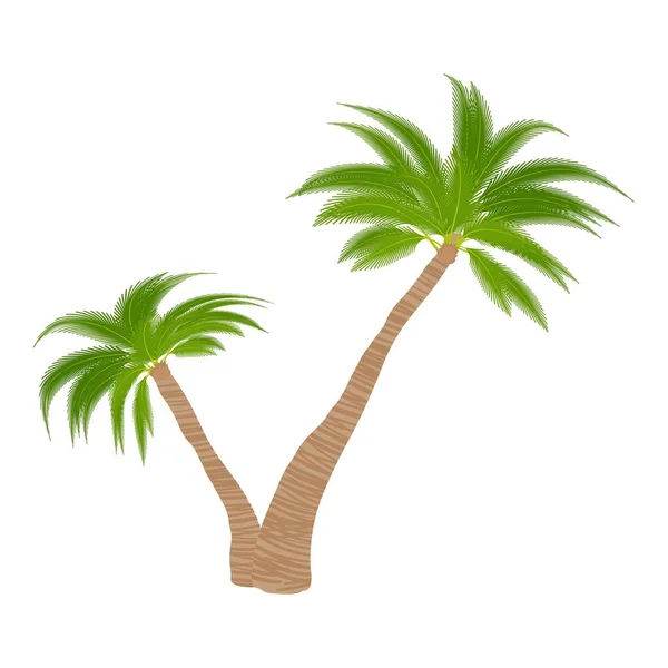 İki palmiye ağaçları simgesi, karikatür tarzı — Stok Vektör