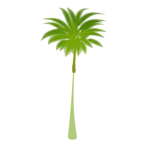 Тонкая икона пальмы, мультяшный стиль — стоковый вектор