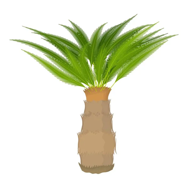 Cykas palmový ikona, kreslený styl — Stockový vektor