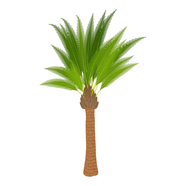 Icône de palmier traditionnelle, style dessin animé — Image vectorielle