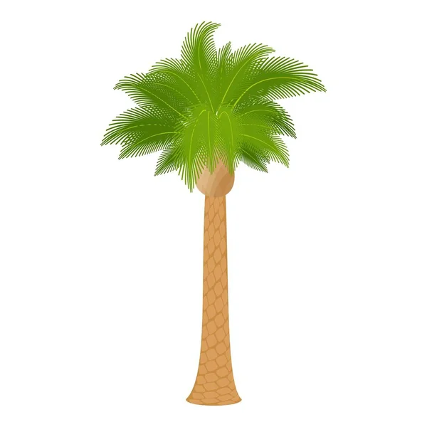 Icona di palma in legno duro, stile cartone animato — Vettoriale Stock