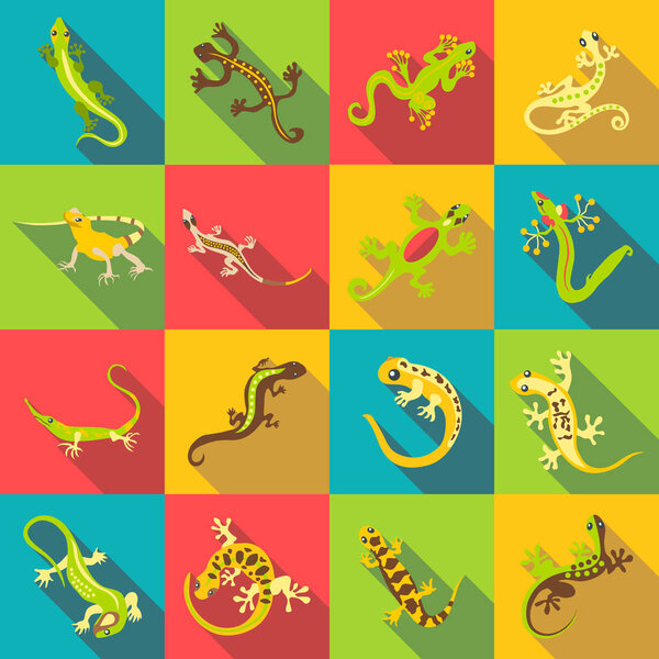 Different lizard icons set, flat style