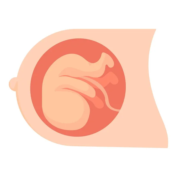 Baby in womb icon, cartoon style — Stock Vector