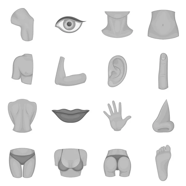 Conjunto de ícones de partes do corpo, estilo monocromático — Vetor de Stock