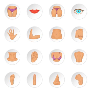 Vücut parçaları Icons set