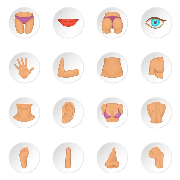 Body parts icons set — Stock Vector
