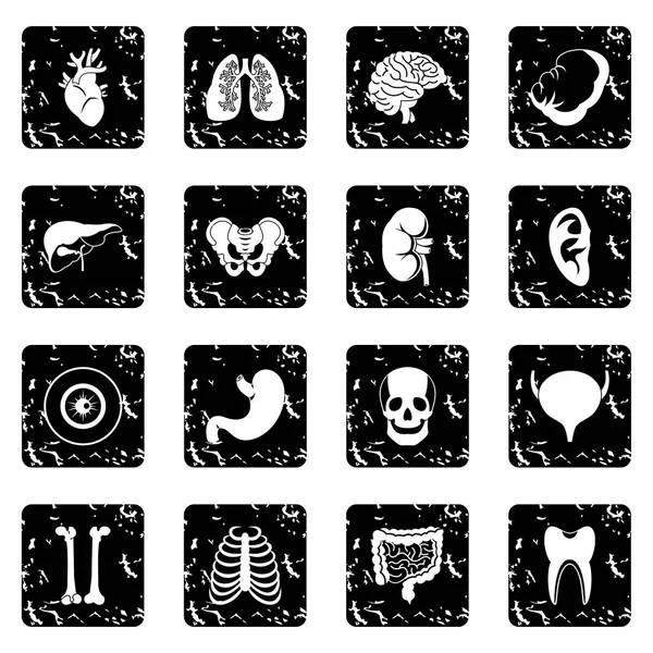 Órganos humanos iconos conjunto — Vector de stock