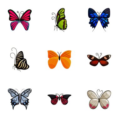 Renkli kelebekler Icons set, karikatür tarzı