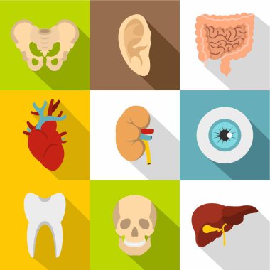 Vücut Icons set, düz stil yapısı