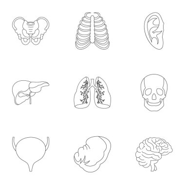 İç organları Icons set, anahat stili