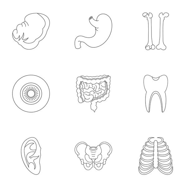 Estructura del conjunto de iconos humanos, estilo de contorno — Archivo Imágenes Vectoriales