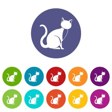 Kara kedi Icons set