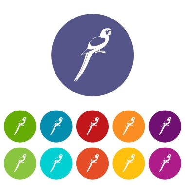 Papağan Icons set