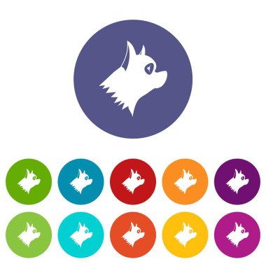 Pinscher köpek Icons set
