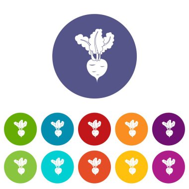 Taze pancar Icons set